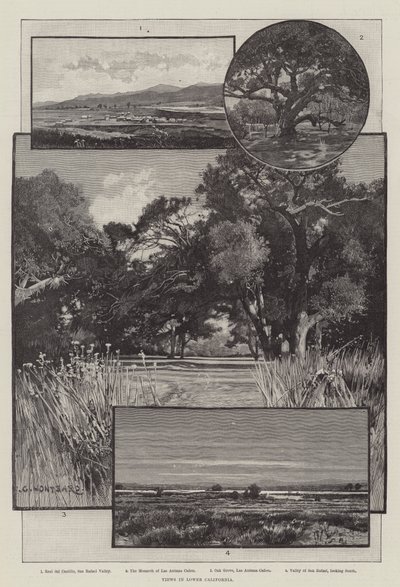 下カリフォルニアの景色 作： Charles Auguste Loye